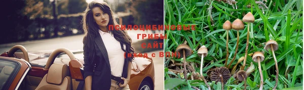 меф Кукмор