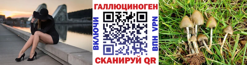 Галлюциногенные грибы MAGIC MUSHROOMS  Купить закладки  Заволжск 
